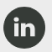 LI icon